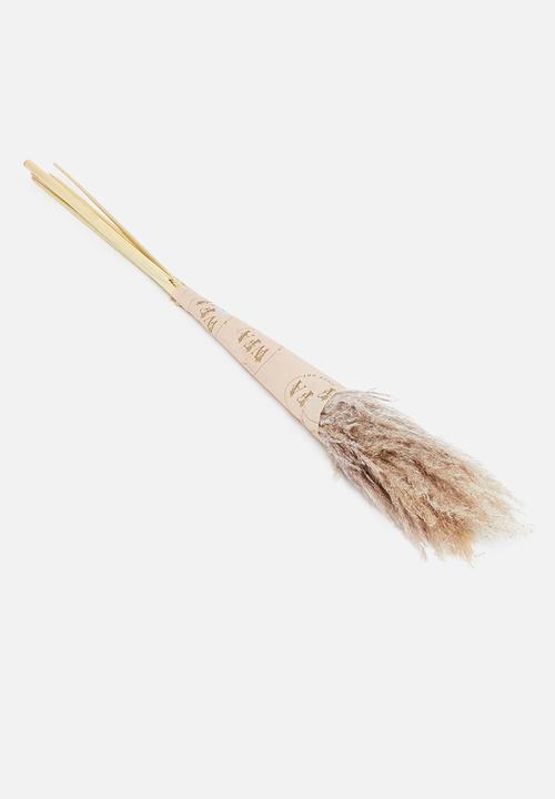 Wild Flower Art - Plumes forever flora - natural oatmeal