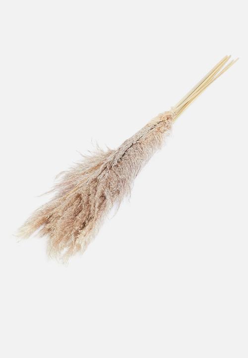 Wild Flower Art - Plumes forever flora - natural oatmeal