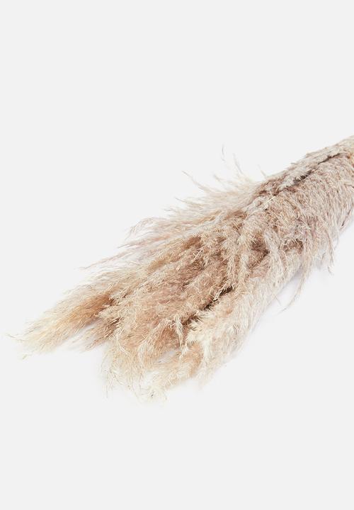 Wild Flower Art - Plumes forever flora - natural oatmeal