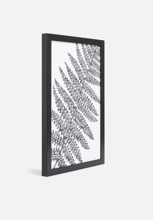 Sixth Floor - Filicophyta fern