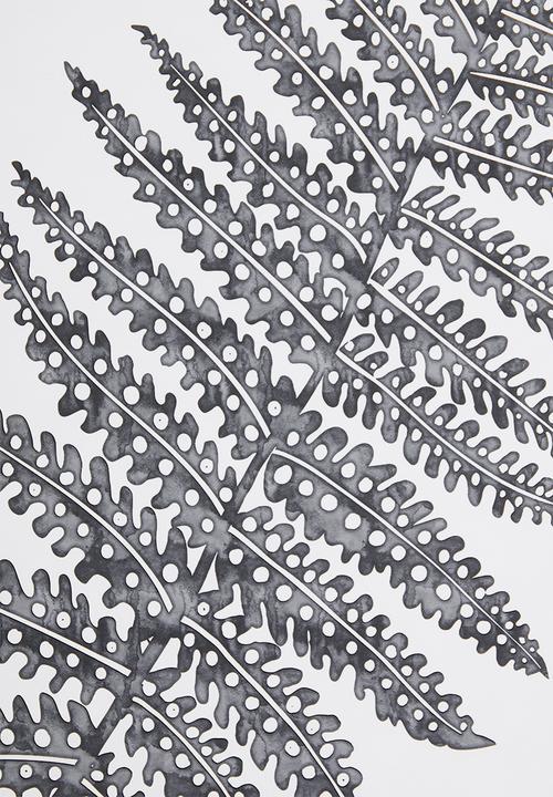 Sixth Floor - Filicophyta fern