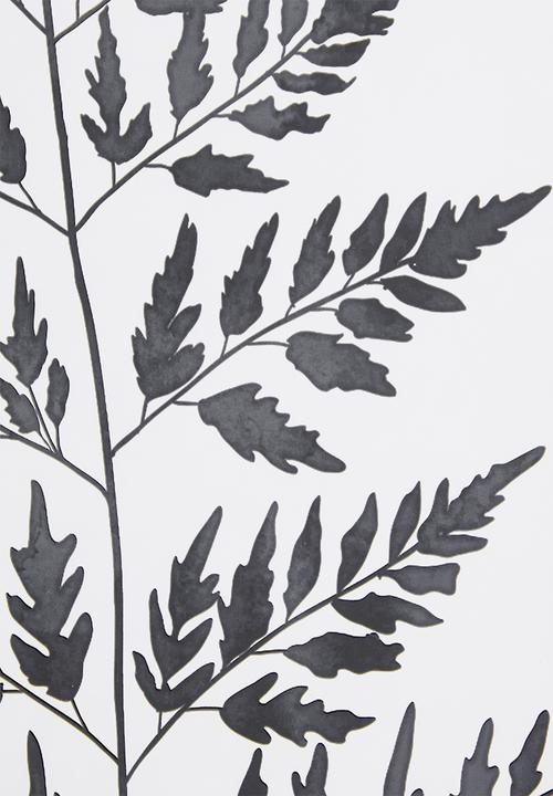 Sixth Floor - Cyathea leaf