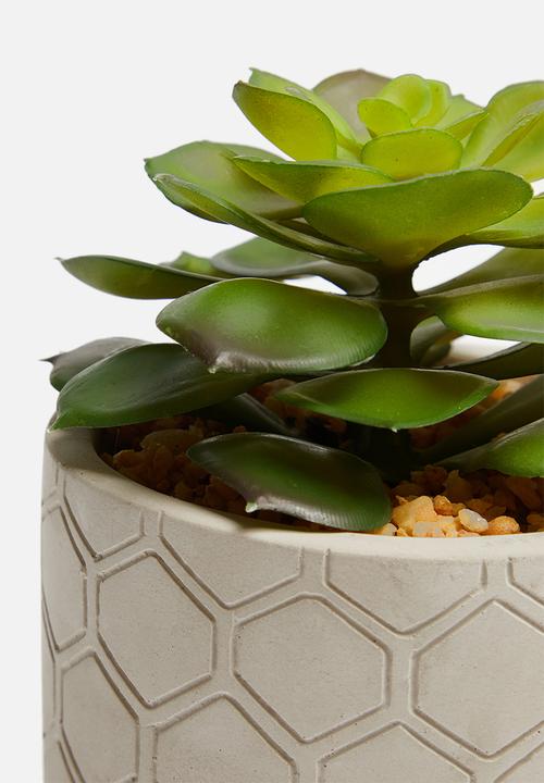 Sixth Floor - Honeycomb potted artificial succulent