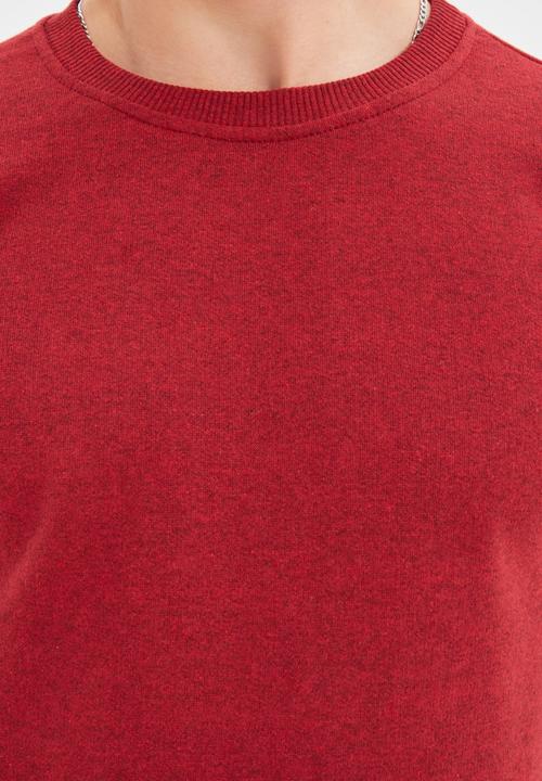 Trendyol - Ted regular fit sweater - burgundy