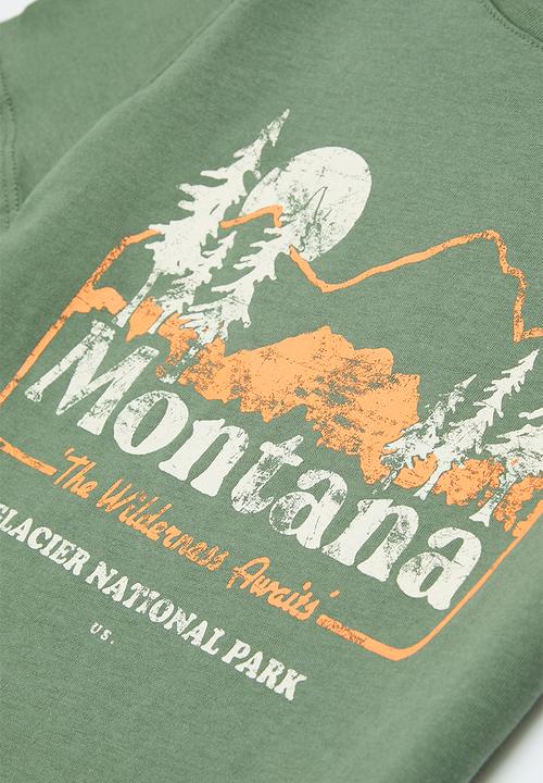 Cotton On - Max short sleeve tee - swag green