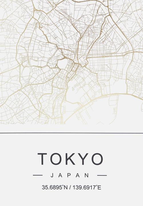 Sixth Floor - Tokyo, Japan Aerial View - gold
