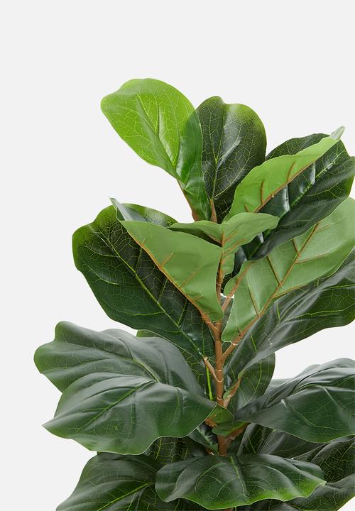 Sixth Floor - Fiddle fig artificial plant - green 