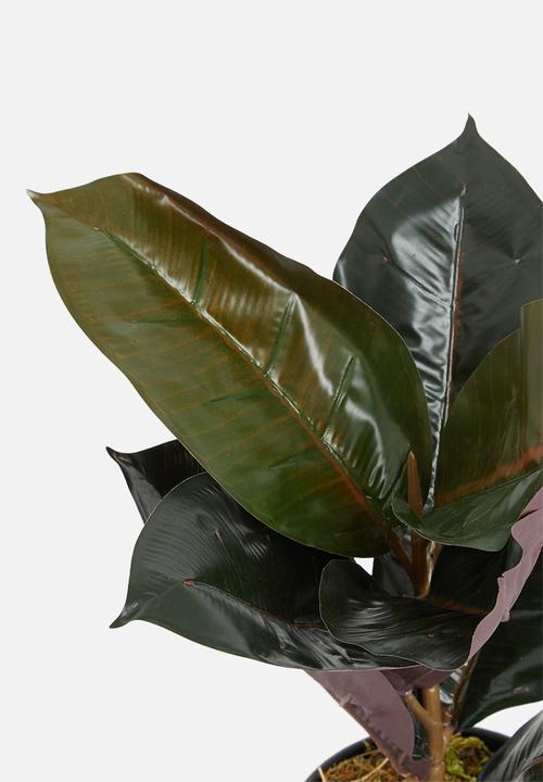 Sixth Floor - Rubber leaf artificial plant - green
