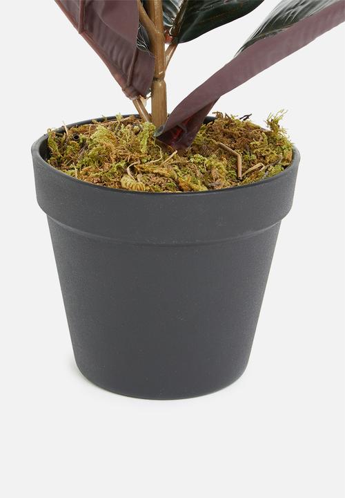 Sixth Floor - Rubber leaf artificial plant - green