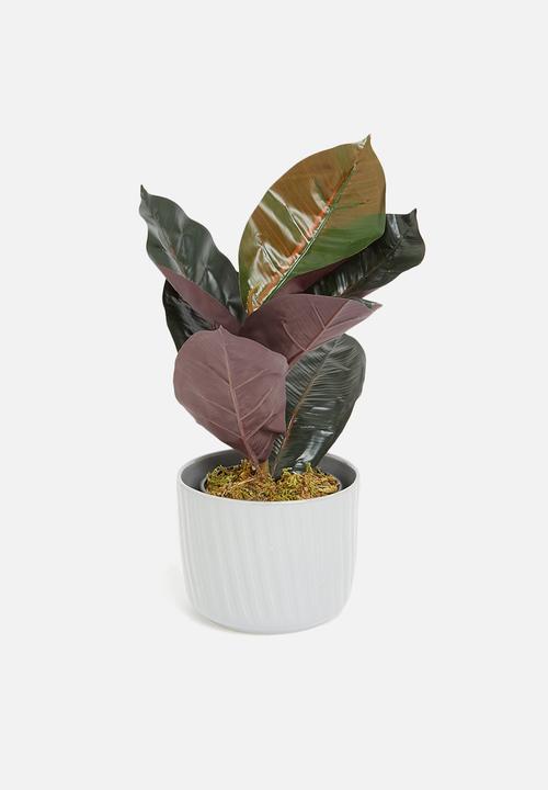 Sixth Floor - Rubber leaf artificial plant - green