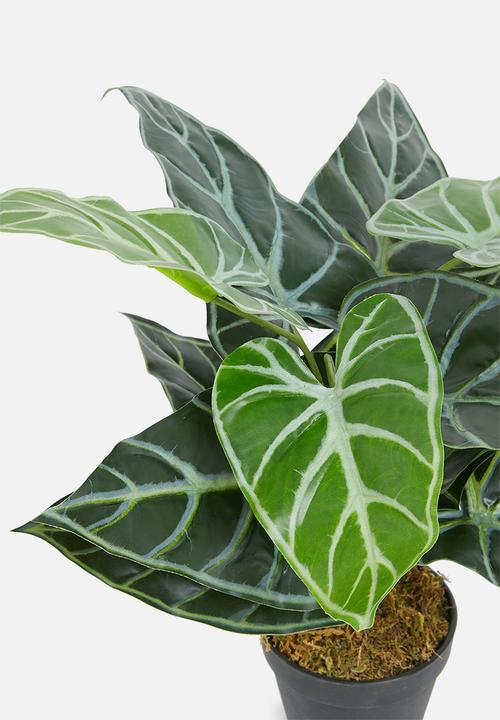 Sixth Floor - Mini taro artificial plant - green 
