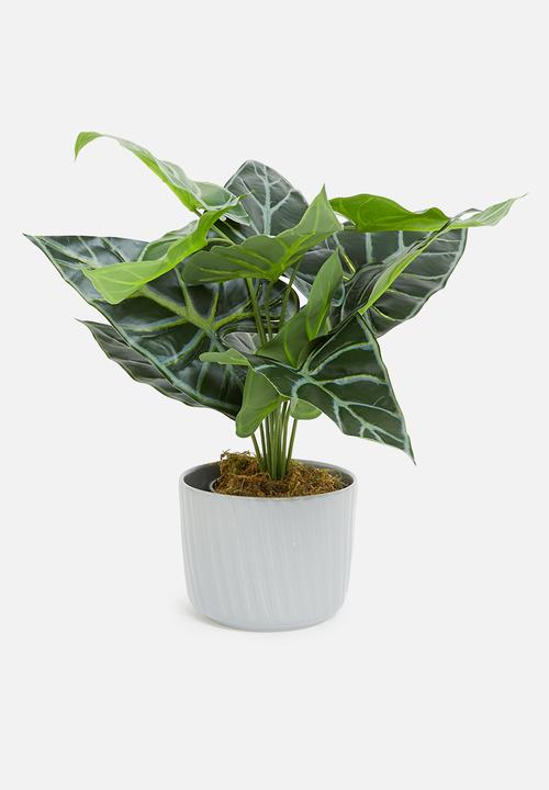 Sixth Floor - Mini taro artificial plant - green 