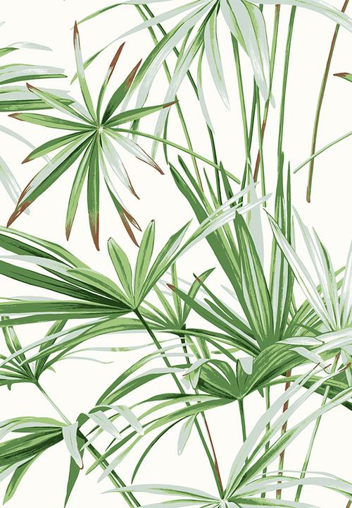 Sixth Floor - Crisp leaf printed wallpaper - green