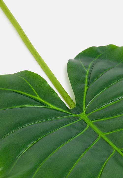 H&S - Philo artificial leaf - closed leaves