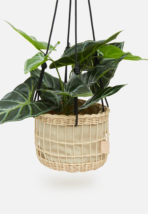 The Baskiti Co. - Ceiling planter - black