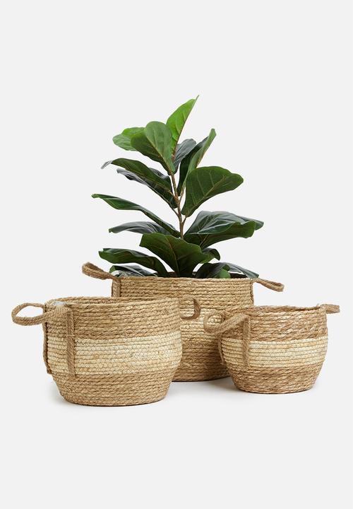 Sixth Floor - Miro planter set of 3 - cream