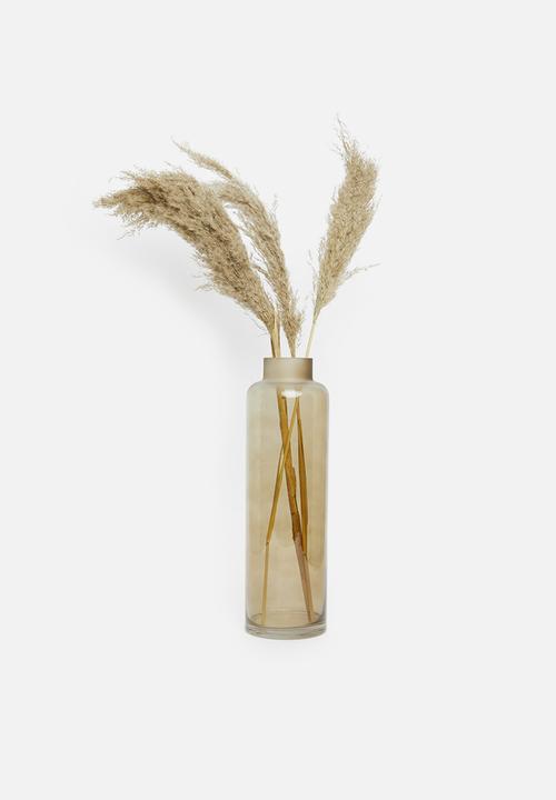 H&S - Pampas flowers - natural