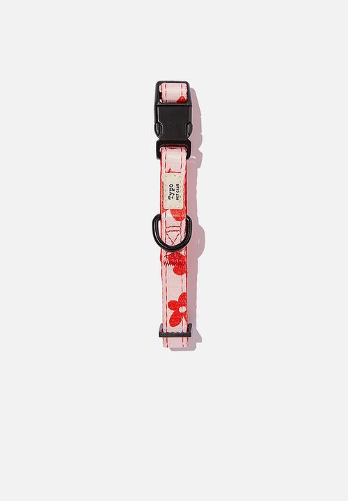 Typo - Pet club dog collar - whisper pink 