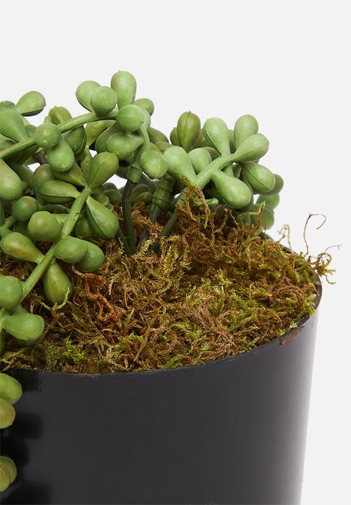 Silk By Design - Sedum hanging artificial bush - plastic black pot