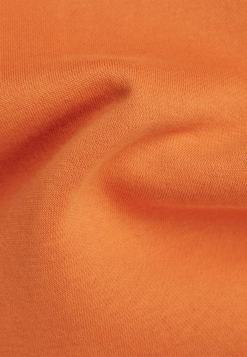 G-STAR - Premium core hood long sleeve - orange