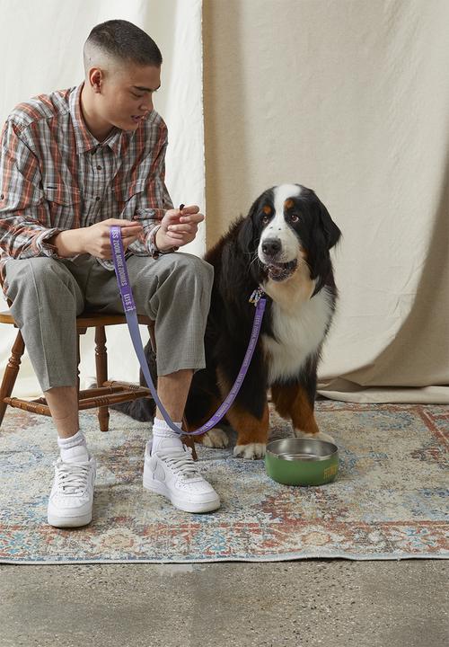 Typo - Pet club premium dog bowl - large - heritage green bored & hungry