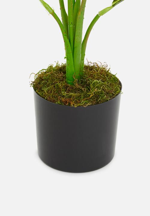 Silk By Design - Spath artificial plant - plastic black pot