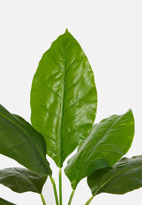 Silk By Design - Spath artificial plant - plastic black pot