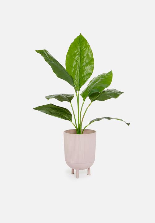 Silk By Design - Spath artificial plant - plastic black pot