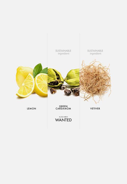Azzaro - Azzaro Wanted Edt - 100ml