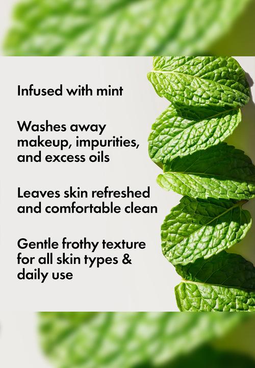 Origins - Checks and Balances™ Frothy Face Wash