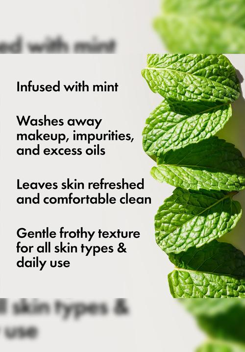 Origins - Checks and Balances™ Frothy Face Wash Mini