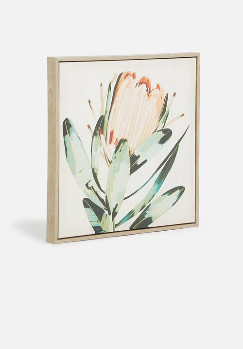 Hertex Haus - Proteas Natural