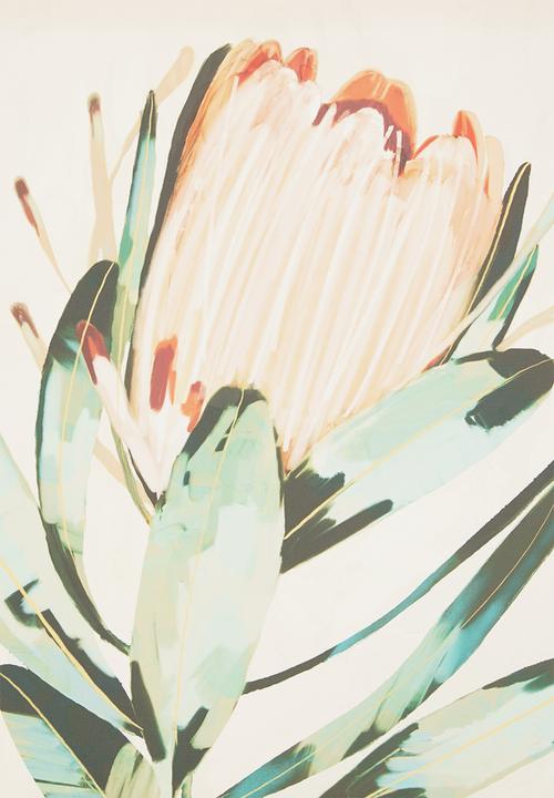 Hertex Haus - Proteas Natural