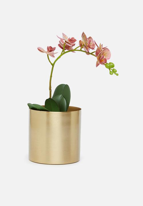 Sixth Floor - Amelia planter - gold