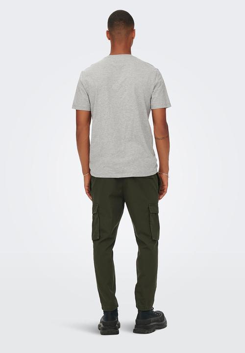 Only & Sons - Onsjake reg stanford short sleeve tee - light grey