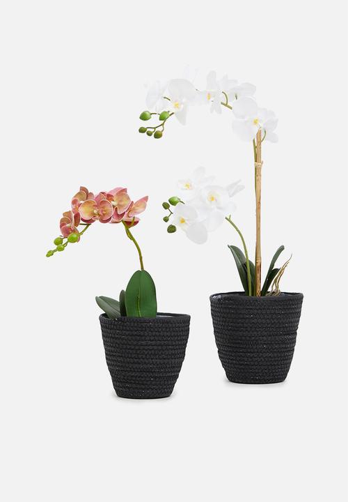 Sixth Floor - Muerte planter set of 2 - black