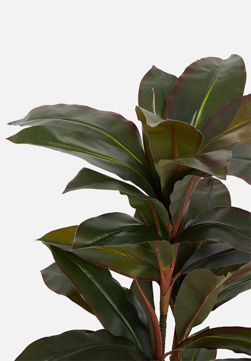 H&S - Dracaena artificial plant