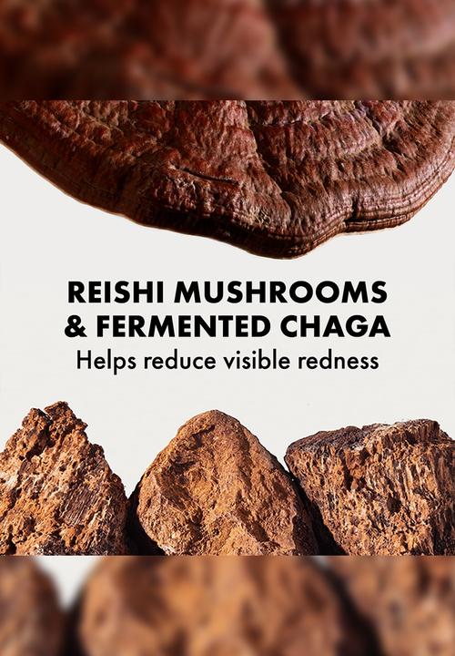 Origins - Mega-Mushroom™ Relief & Resilience Advanced Face Serum
