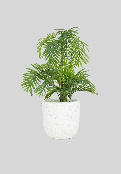 Potanical - Mother of pearl planter - cream seashell