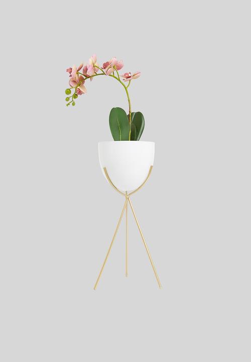H&S - May flower pot- cream