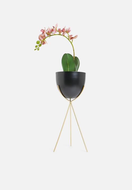 H&S - May flower pot-black