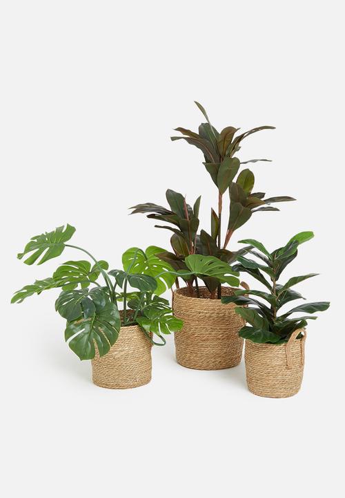 Storage Solutions - Willow basket set of 3 - natural
