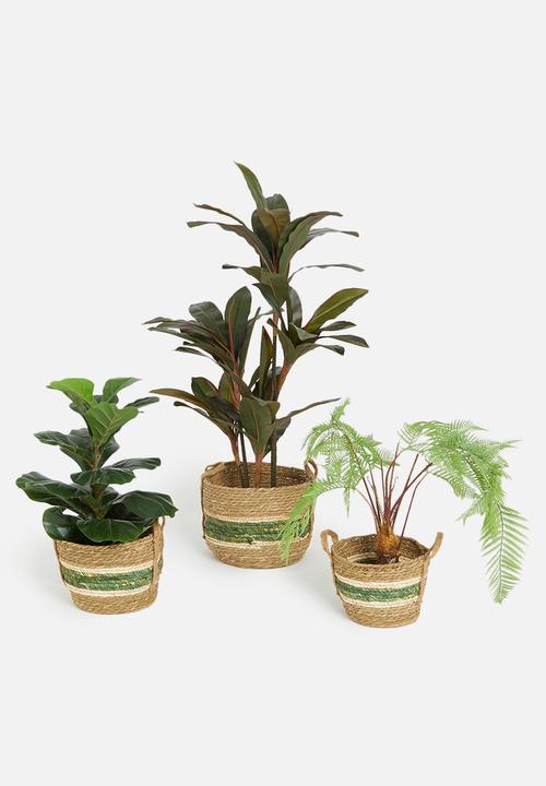 Storage Solutions - Willow basket set - green
