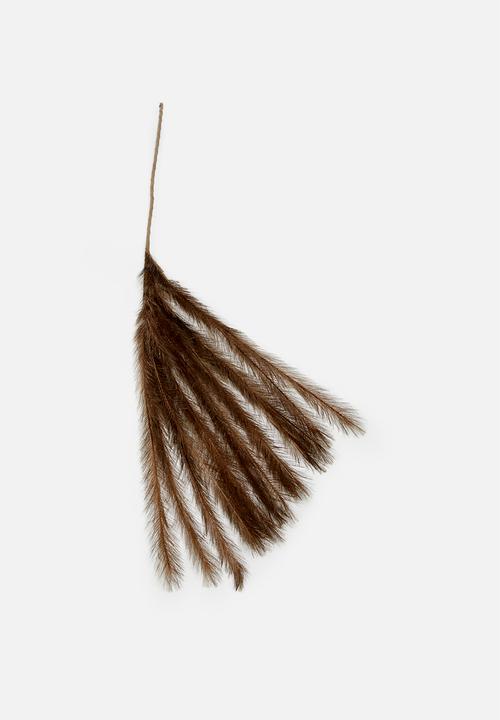 H&S - Feathers on stem - brown