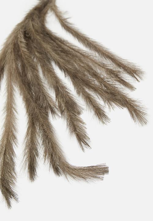 H&S - Feathers on stem - natural