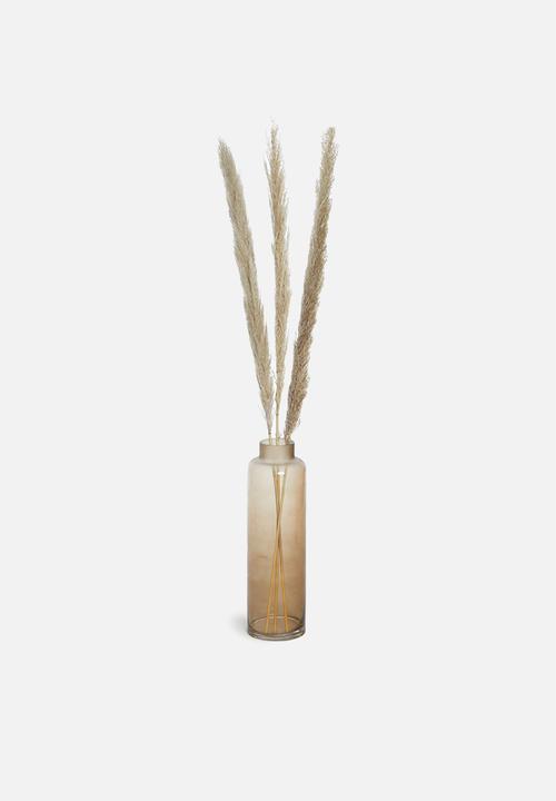 H&S - Pampas grass - sand