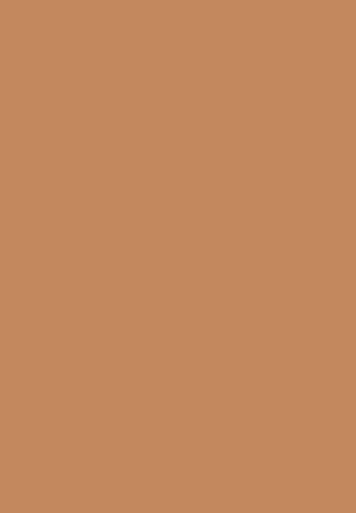 Black Opal - TRUE COLOR® Soft Velvet Finishing Powder - Medium