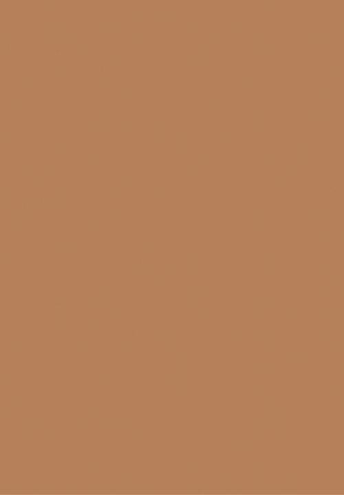 Black Opal - TRUE COLOR® Skin Perfecting Stick Foundation - Truly Topaz