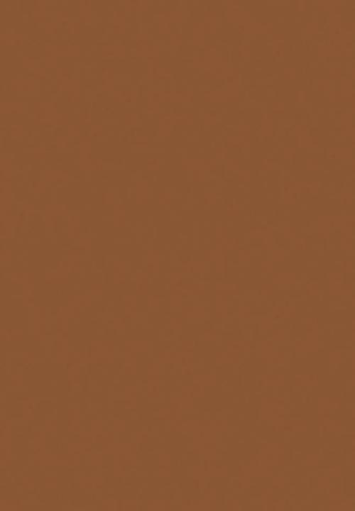 Black Opal - TRUE COLOR® Skin Perfecting Stick Foundation - Hazelnut