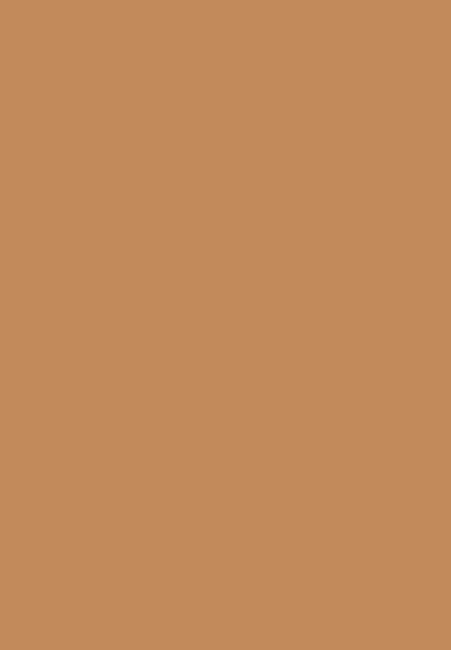 Black Opal - TRUE COLOR® Skin Perfecting Stick Foundation - Rich Caramel